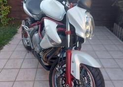Kawasaki ER-6N (2006 - 09) usata