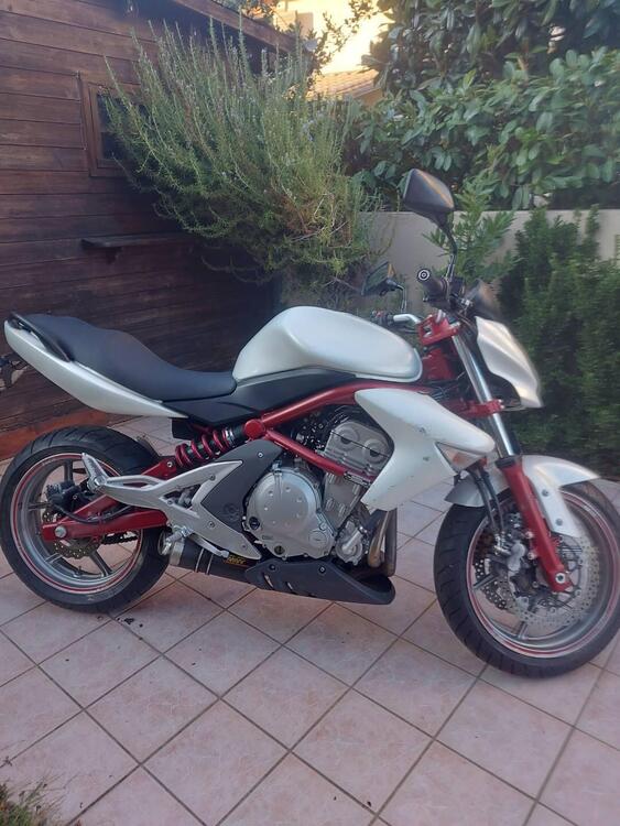 Kawasaki ER-6N (2006 - 09) (2)