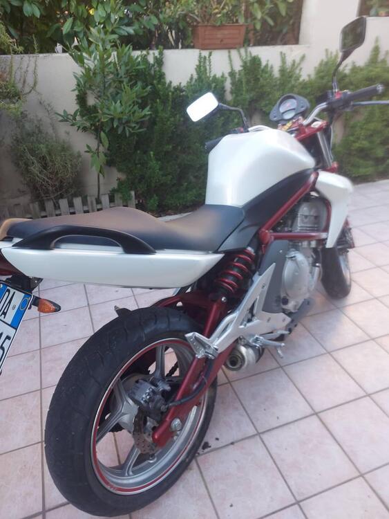 Kawasaki ER-6N (2006 - 09) (4)