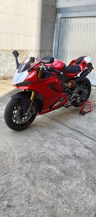 Ducati Panigale V2 (2025) (3)