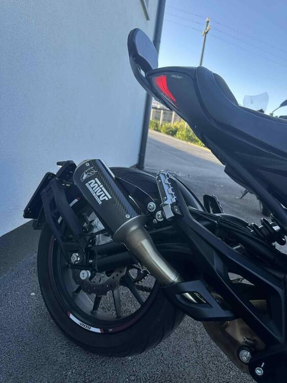 Benelli 502 C (2021 - 25) (5)