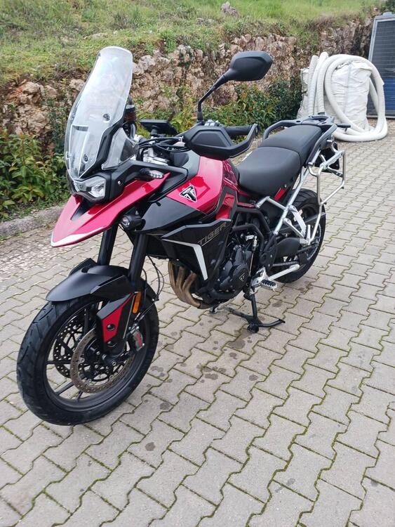 Triumph Tiger 900 GT Pro (2024 - 25)