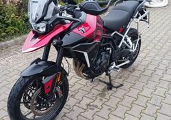 Triumph Tiger 900 GT Pro (2024 - 25) usata