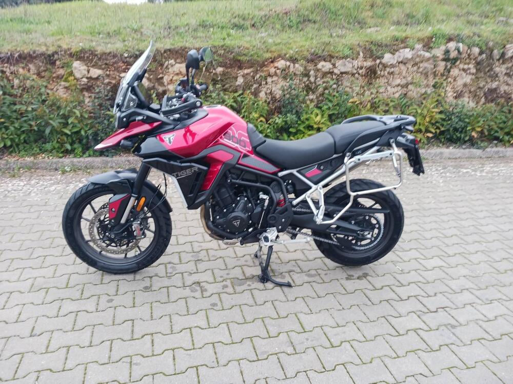 Triumph Tiger 900 GT Pro (2024 - 25) (2)