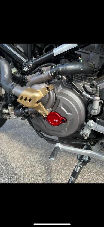 Ducati Hypermotard 950 RVE (2020) (3)
