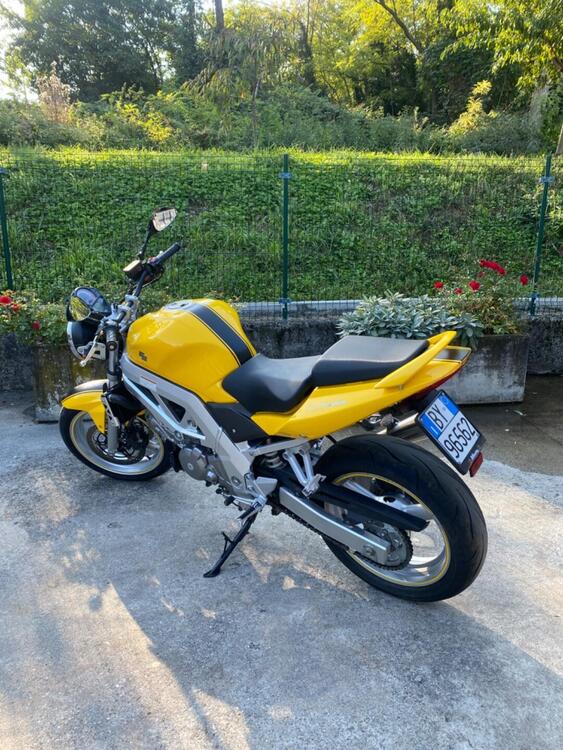 Suzuki SV 650 (2003 - 06) (2)