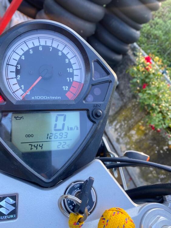 Suzuki SV 650 (2003 - 06) (4)