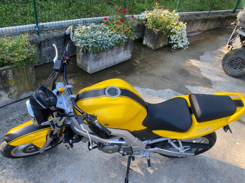 Suzuki SV 650 (2003 - 06) (5)