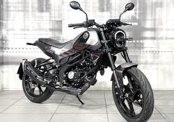 Benelli Leoncino 125 (2022 - 25) usata