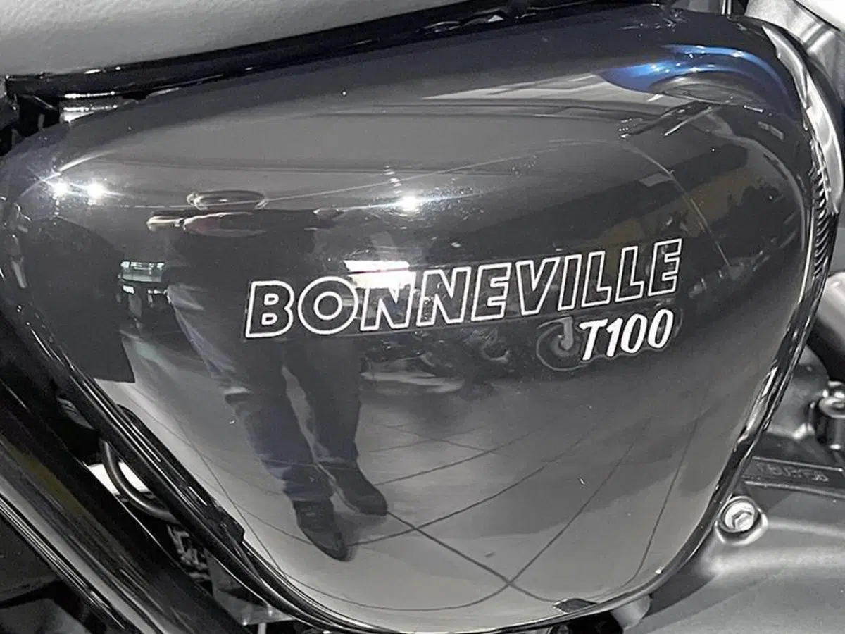 Triumph Bonneville Bobber TFC (2025) (4)