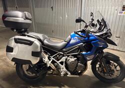 Triumph Tiger 1200 GT Pro (2022 - 23) usata