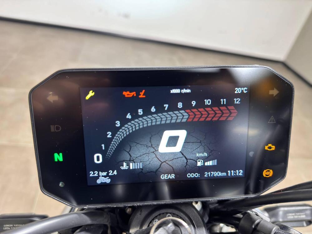 Voge Trofeo 500AC (2022 - 25) (5)