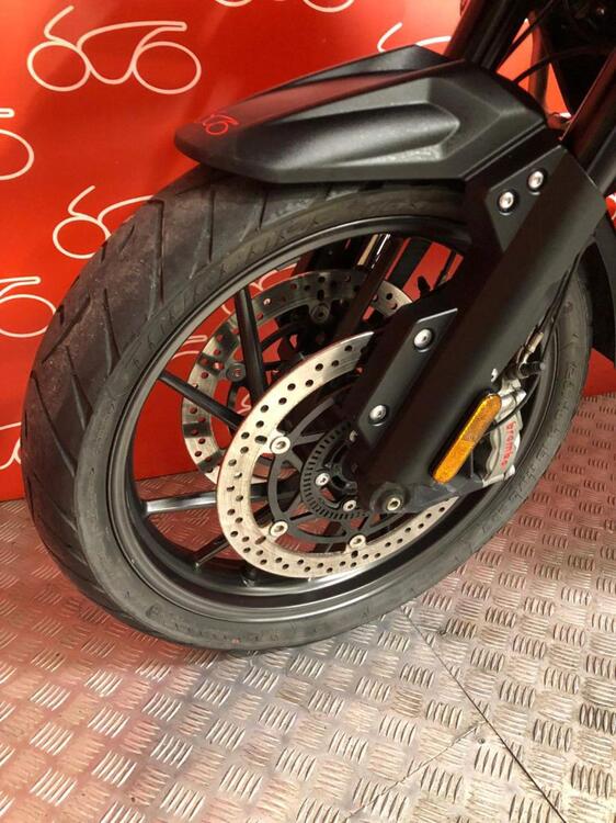 Triumph Tiger 1200 GT Pro (2024 - 25) (5)