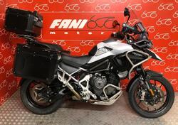 Triumph Tiger 1200 GT Pro (2024 - 25) usata