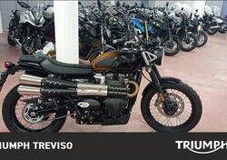 Triumph Scrambler 900 (2023 - 25) usata