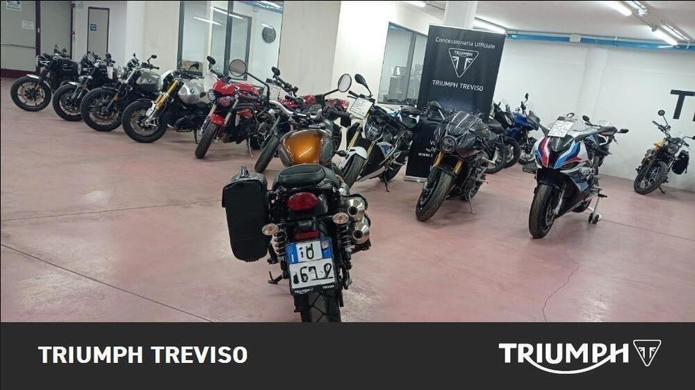 Triumph Scrambler 900 (2023 - 25) (3)