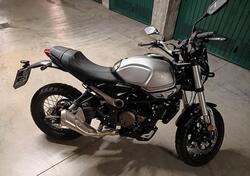 Voge Trofeo 300ACX Scrambler (2021 - 25) usata