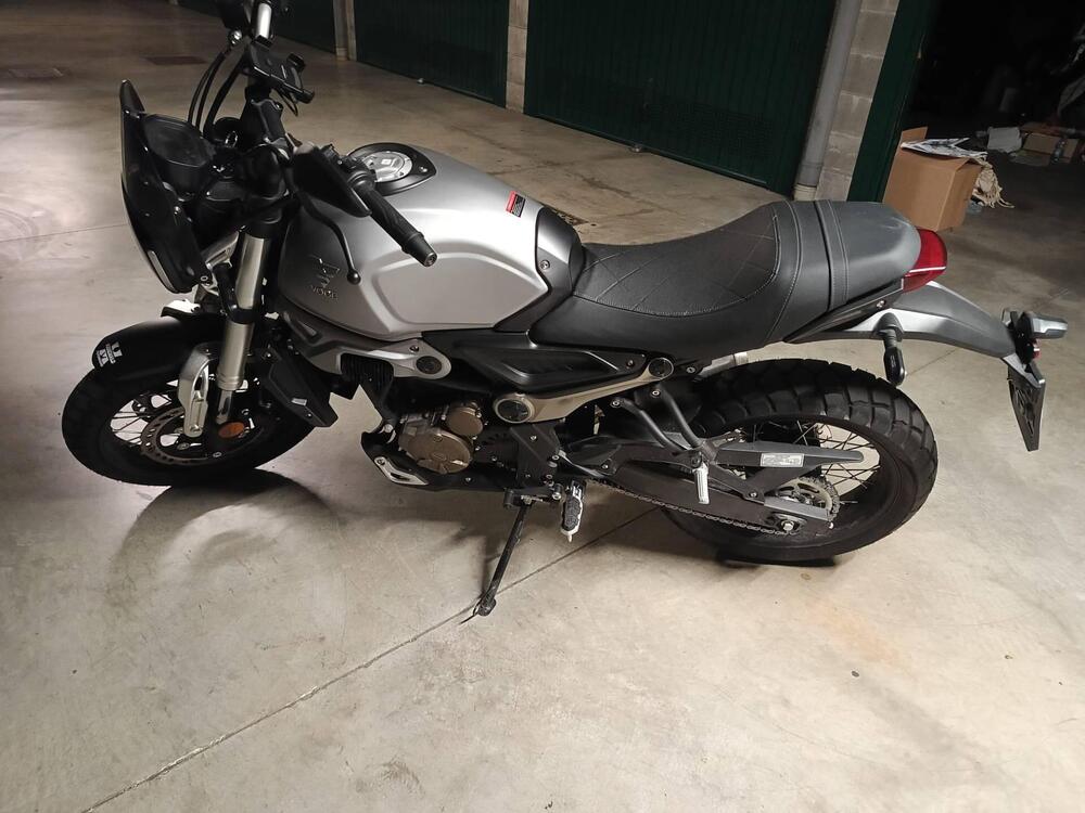 Voge Trofeo 300ACX Scrambler (2021 - 25) (3)