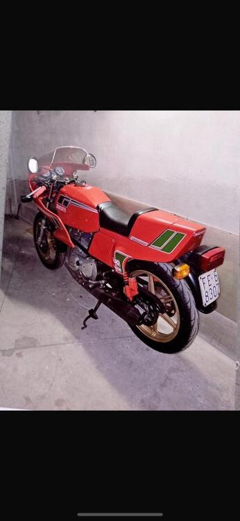 Ducati Pantah 500 sl (5)