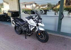 Triumph Tiger 800 XRt (2018 - 20) usata
