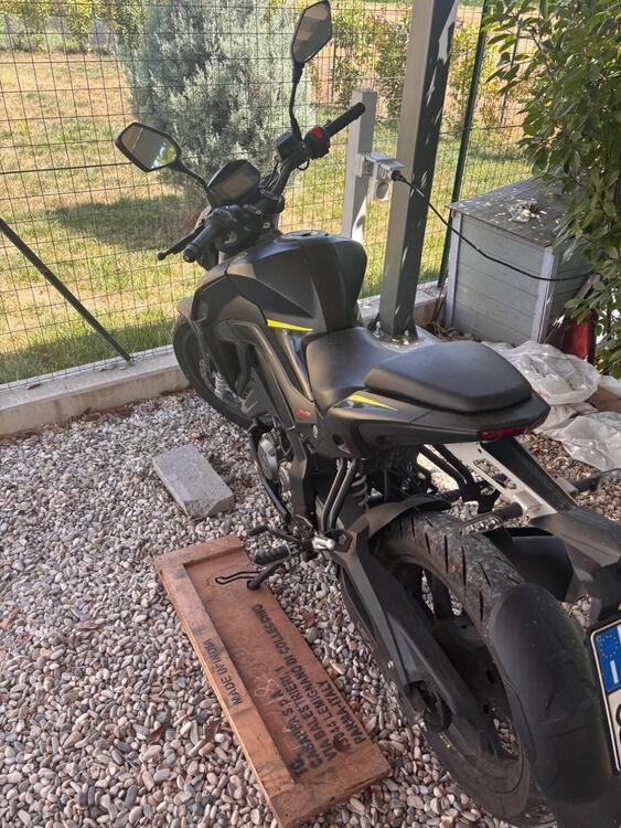 Keeway Motor RKF 125 (2021 - 24) (4)