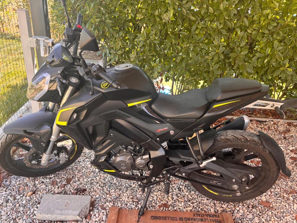 Keeway Motor RKF 125 (2021 - 24) (5)