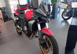 QJ Motor SRT 700 SX (2025) nuova