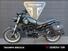 Benelli Leoncino 500 Trail (2021 - 25) (10)
