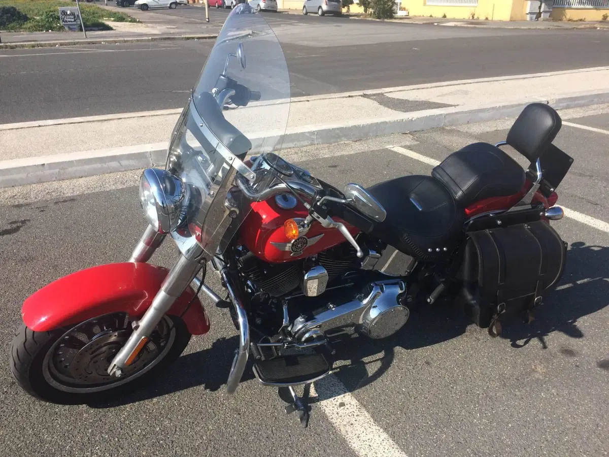 Harley-Davidson 1584 Fat Boy (2008 - 10) - FLSTF (3)