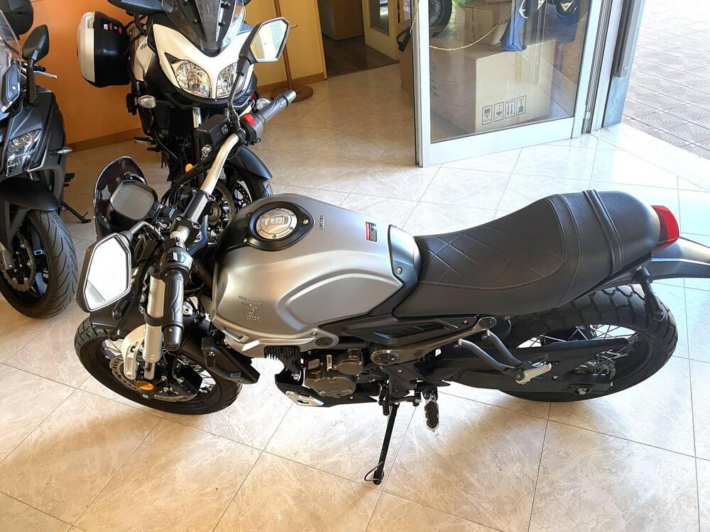 Voge Trofeo 300ACX Scrambler (2021 - 25) (3)