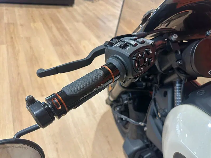 Harley-Davidson Sportster S (2022 - 24) (11)