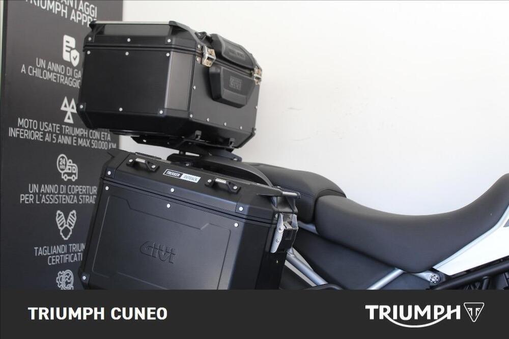 Triumph Tiger 900 GT Pro (2020 - 23) (5)