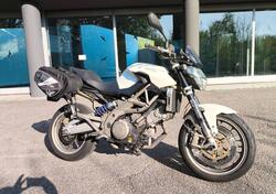 Aprilia Shiver (2008 - 10) usata