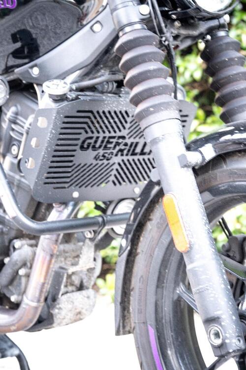 Royal Enfield Guerrilla 450 (2024 - 25) (3)
