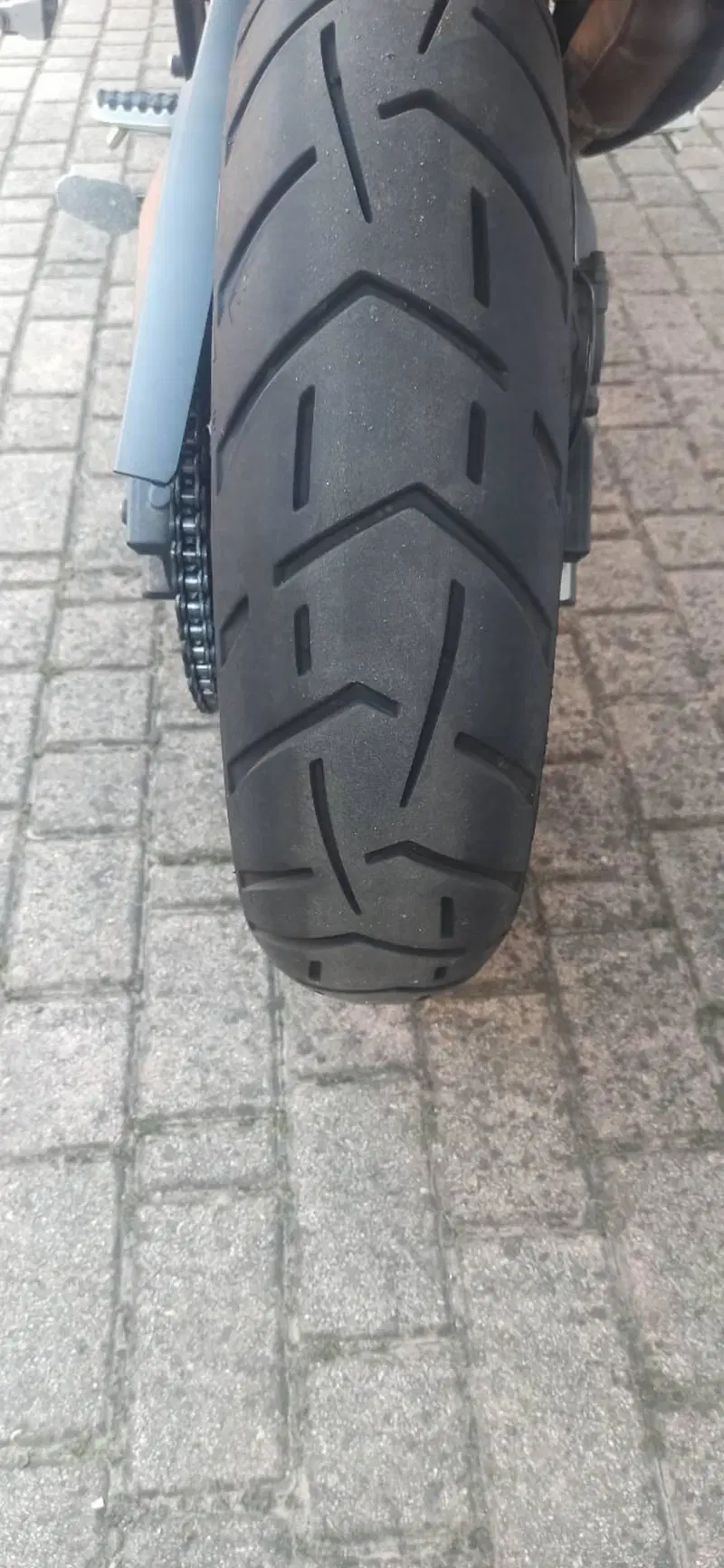 Triumph Tiger 900 Rally (2020 - 23) (10)