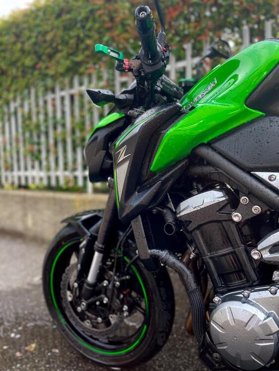 Kawasaki Z 900 A2 (2019) (2)