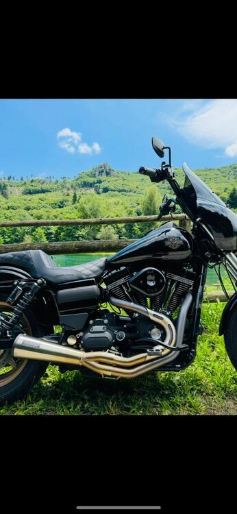 Harley-Davidson 1800 Low Rider S (2016 - 17) - FXDLS (2)