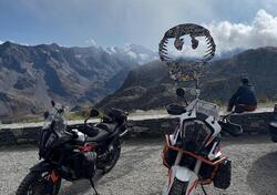 KTM 790 Adventure (2023 - 24) usata