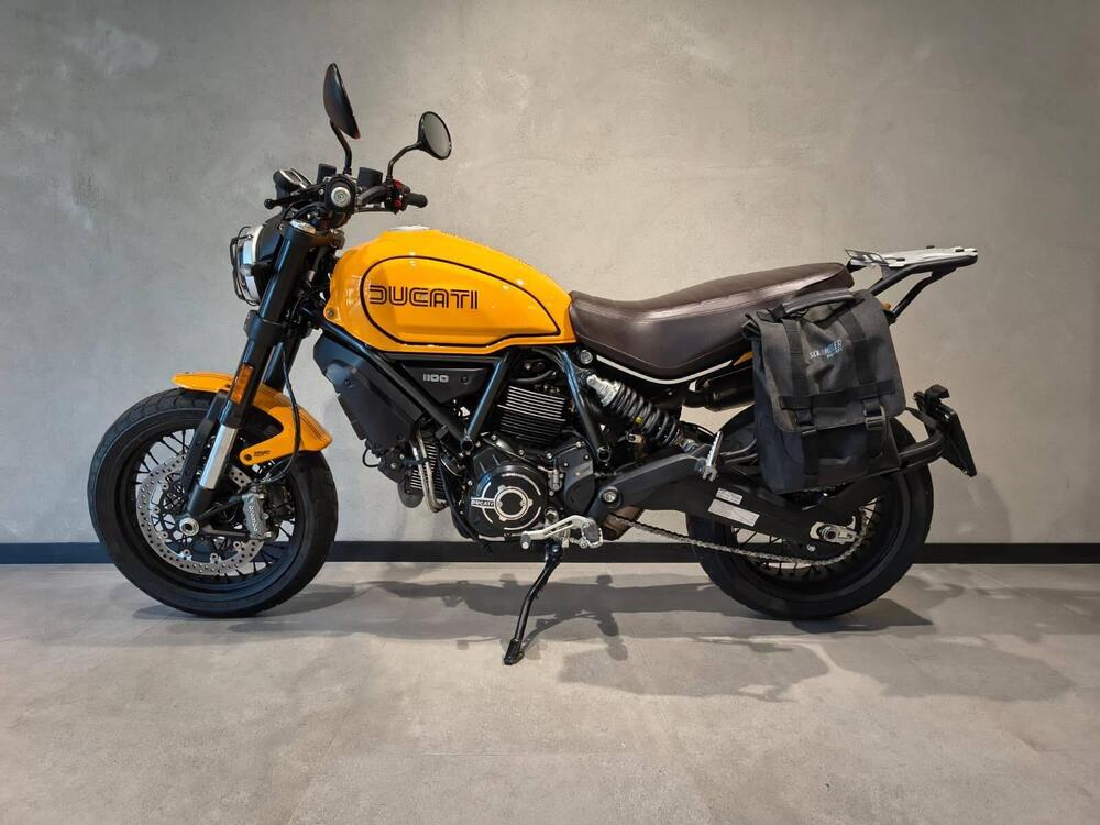 Ducati Scrambler 1100 Tribute Pro (2022 - 24) (4)