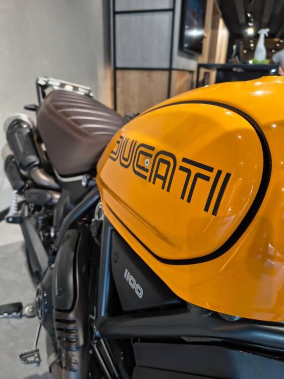 Ducati Scrambler 1100 Tribute Pro (2022 - 24) (5)