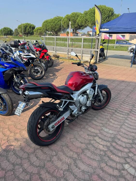Yamaha FZ6 (2004 - 07) (2)