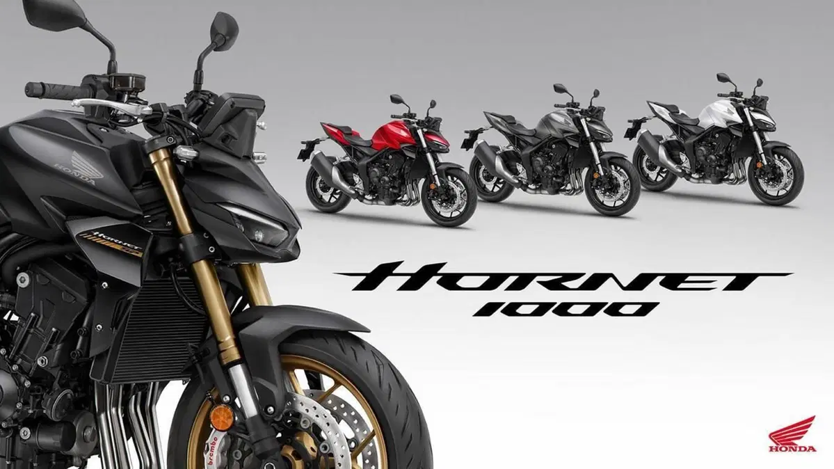Honda CB 1000 Hornet (2025 - 26)