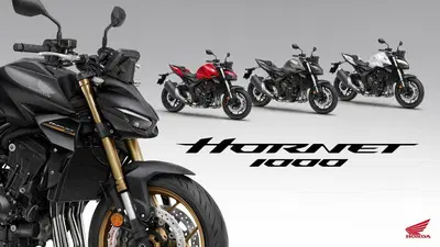 Honda CB 1000 Hornet (2025 - 26) nuova