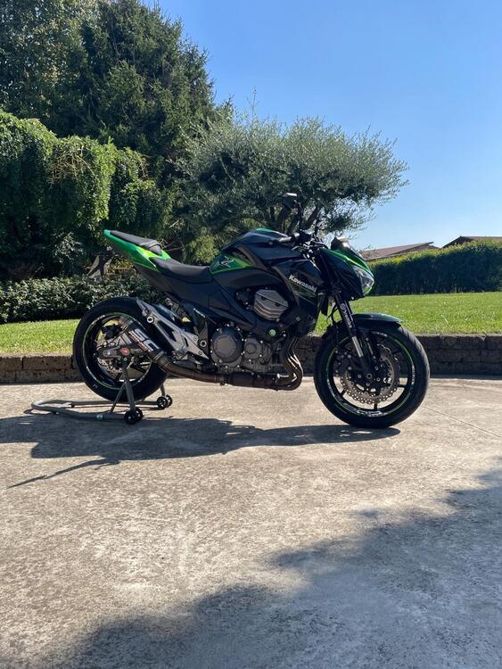 Kawasaki Z 800 e ABS (2012 - 16) (4)