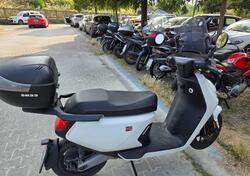 Niu MQi GT 100 (2022 - 25) usata