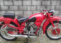 Moto Guzzi FALCONE 500 d'epoca