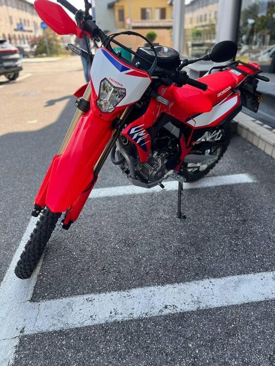 Honda CRF 300 L (2025) (4)