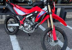 Honda CRF 300 L (2025) usata