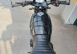 Benelli Leoncino 500 Trail (2021 - 25) usata