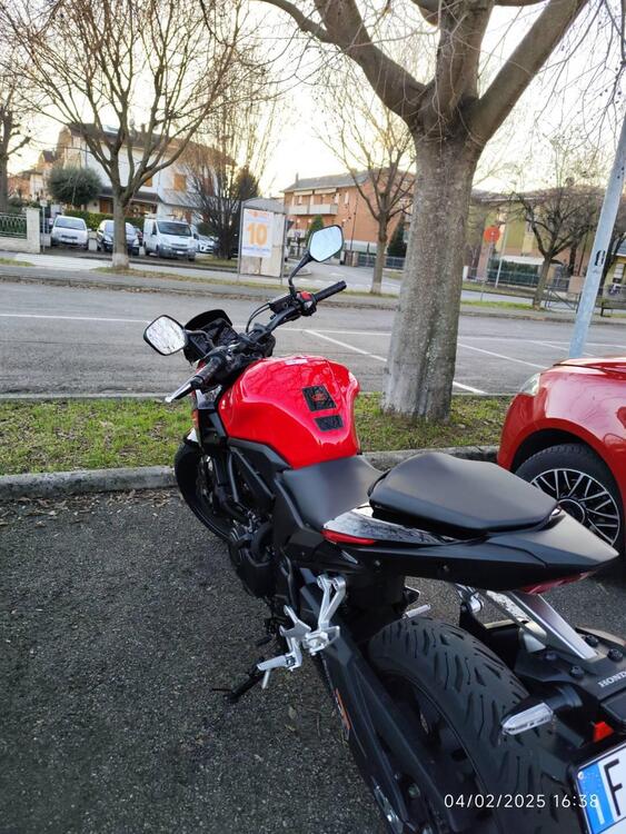 Honda CB 500 Hornet (2024 - 25) (4)